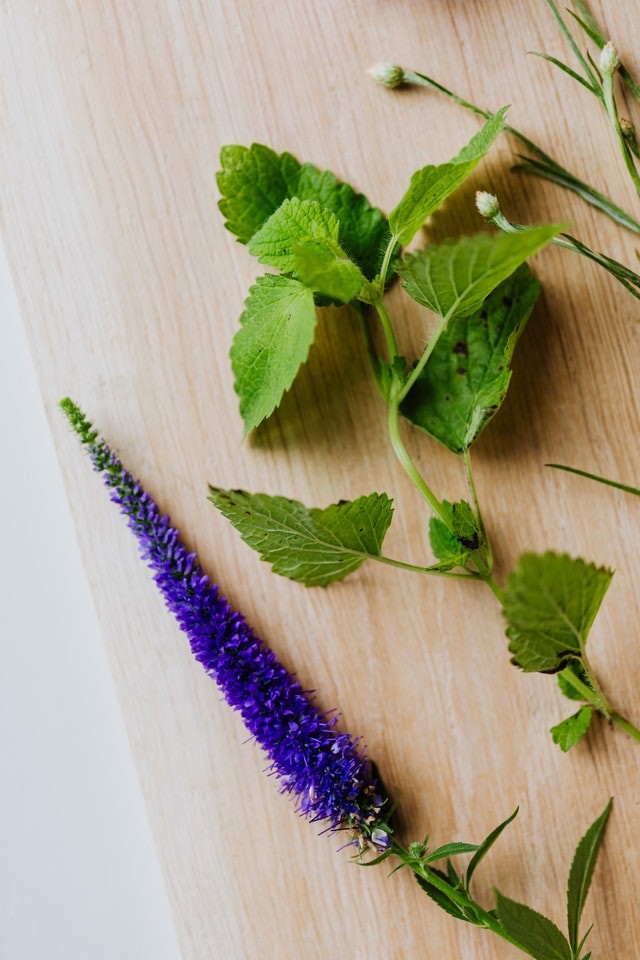 pthytothérapie et sommeil