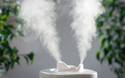 Un humidificateur d’air, à quoi ça sert ?